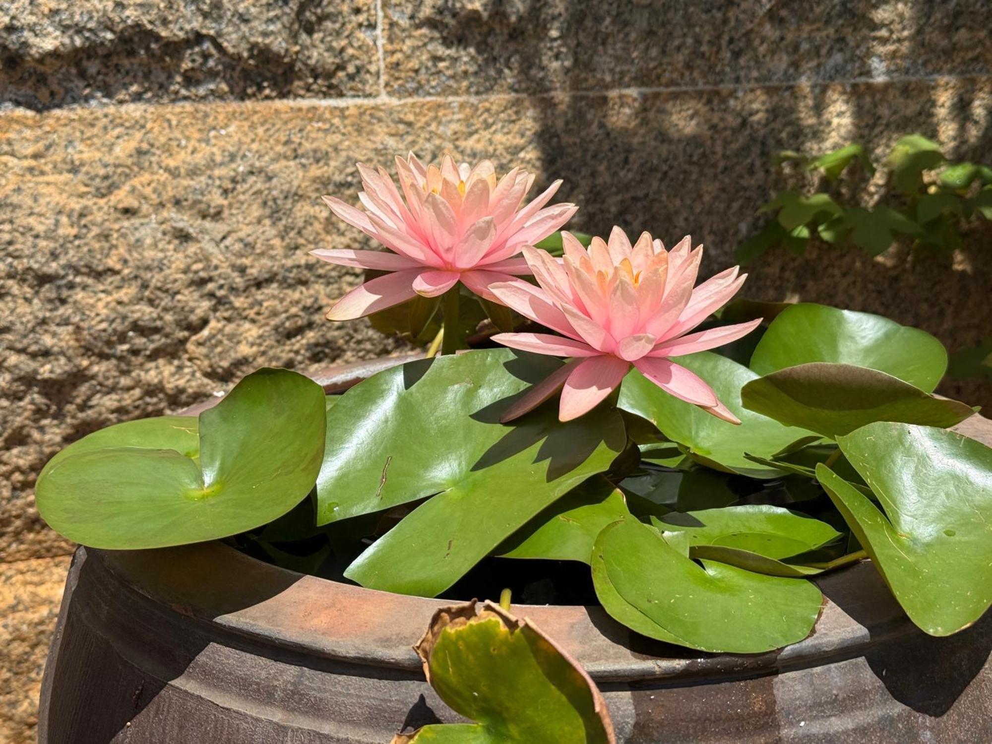 Grace Homestay 54 Jincheng Exteriör bild